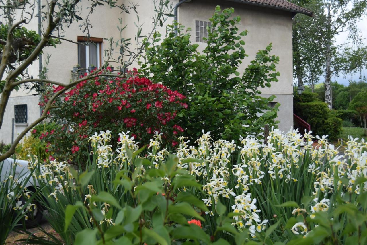 Bed & Breakfast Le Nid De L'ecureuil
